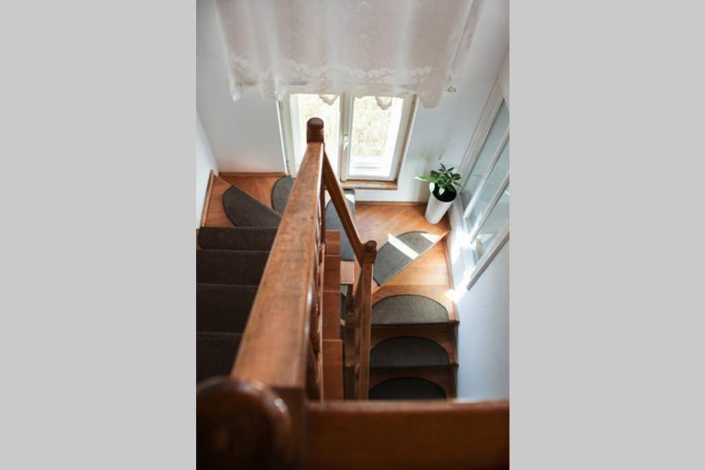 Vila Cozy, Panorama Superba, Gratar Si Relaxare Piatra Neamt Exterior photo