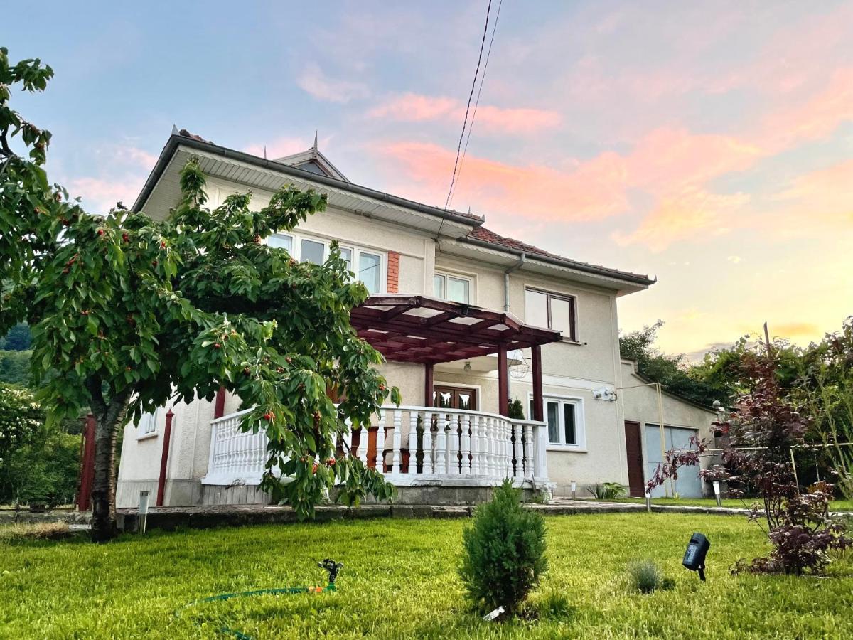 Vila Cozy, Panorama Superba, Gratar Si Relaxare Piatra Neamt Exterior photo