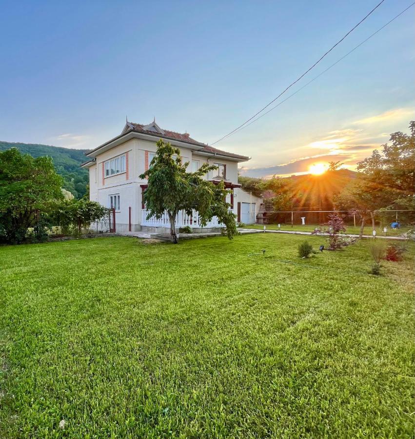 Vila Cozy, Panorama Superba, Gratar Si Relaxare Piatra Neamt Exterior photo
